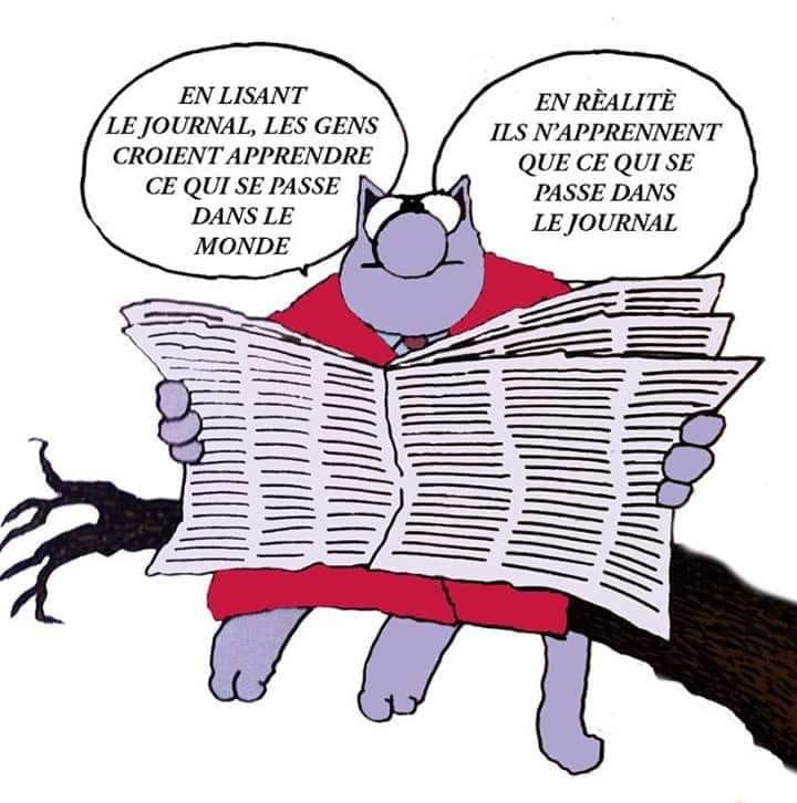 Le chat et les nouvelles