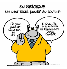 Le chat