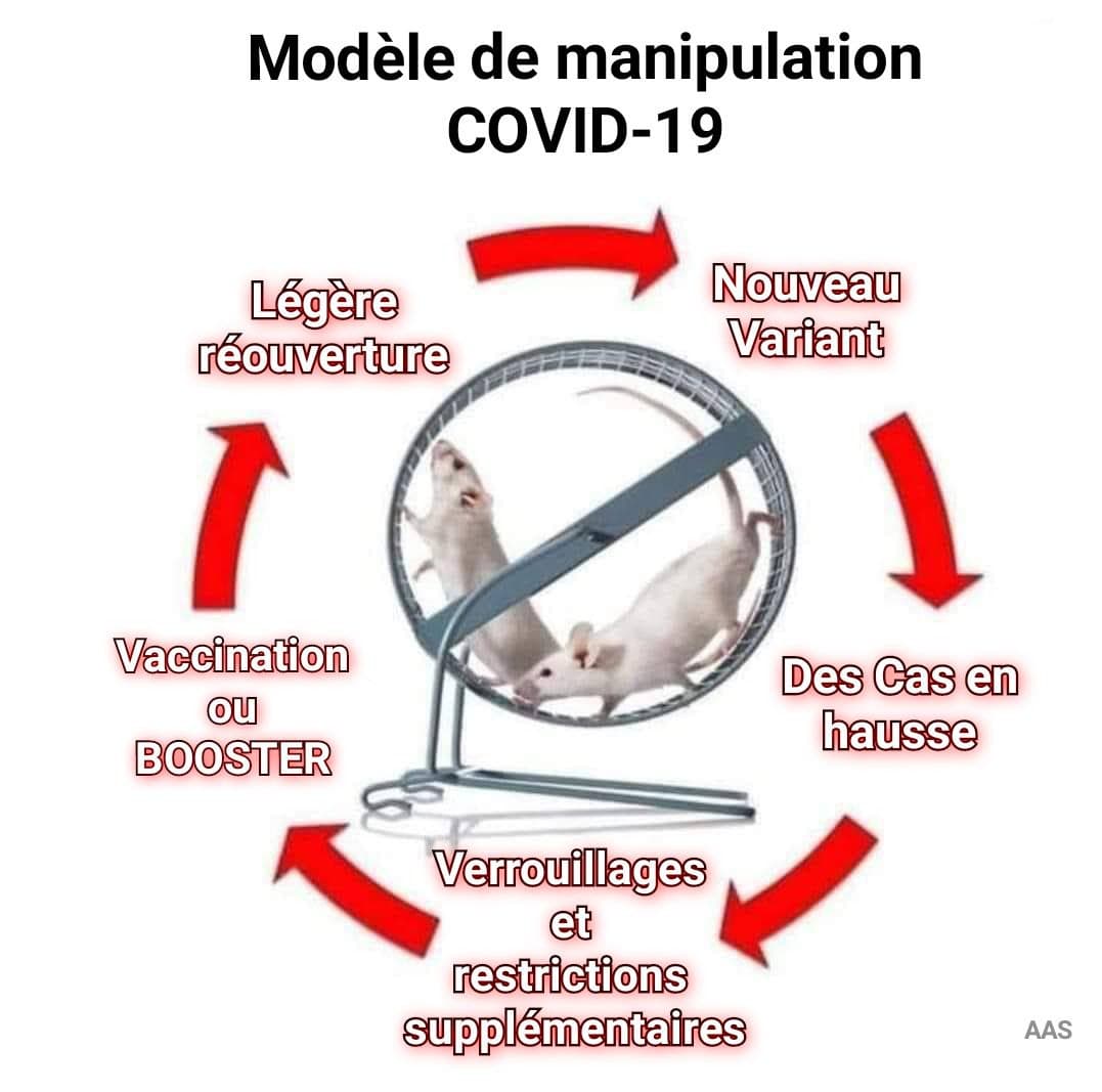 modèle de manipulation