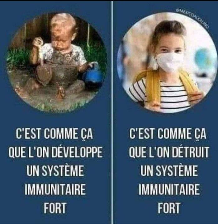 systme immunitare fort