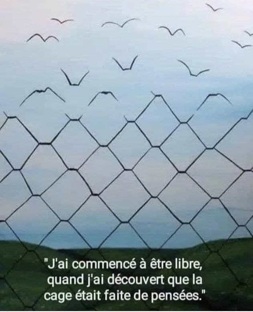 cage de pense